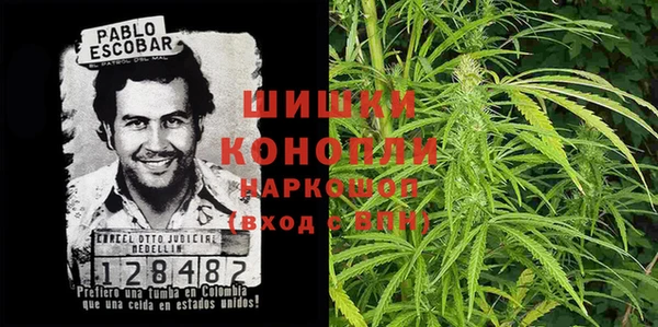 дмт Лиски