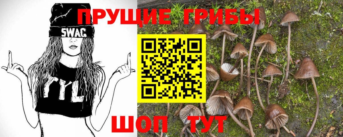 Псилоцибиновые грибы прущие грибы Балаково
