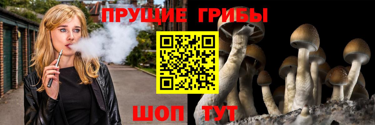 Балаково  Псилоцибиновые грибы MAGIC MUSHROOMS  Вход с VPN 