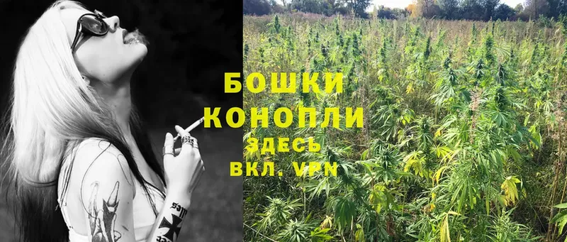 маркетплейс формула  где можно купить наркотик  Балаково  Бошки Шишки SATIVA & INDICA  mega зеркало 